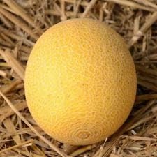 Fruit Seeds,Garden seeds, Seeds For Planting,Plant Seeds