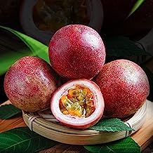 Fruit Seeds,Garden seeds, Seeds For Planting,Plant Seeds