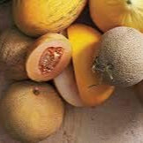 Fruit Seeds,Garden seeds, Seeds For Planting,Plant Seeds