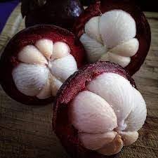 Fruit Seeds,Garden seeds, Seeds For Planting,Plant Seeds