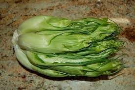 Vegetable Seeds,Garden seeds, Seeds For Planting,Plant Seeds