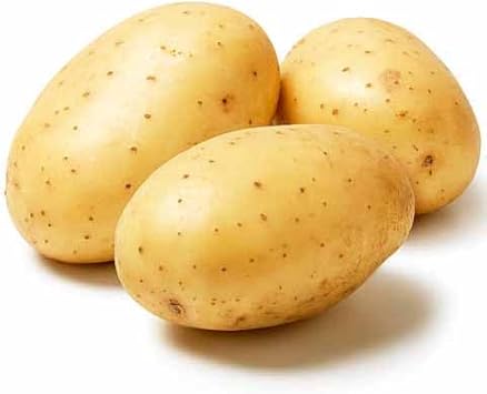 Vegetable Seeds,Garden seeds, Seeds For Planting,Plant Seeds