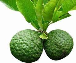 Fruit Seeds,Garden seeds, Seeds For Planting,Plant Seeds