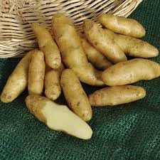 Vegetable Seeds,Garden seeds, Seeds For Planting,Plant Seeds