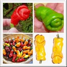 Vegetable Seeds,Garden seeds, Seeds For Planting,Plant Seeds