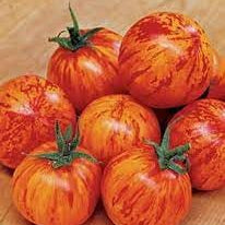 Vegetable Seeds,Garden seeds, Seeds For Planting,Plant Seeds