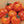 Vegetable Seeds,Garden seeds, Seeds For Planting,Plant Seeds