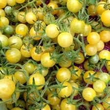 Vegetable Seeds,Garden seeds, Seeds For Planting,Plant Seeds