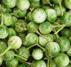 Vegetable Seeds,Garden seeds, Seeds For Planting,Plant Seeds