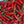Vegetable Seeds,Garden seeds, Seeds For Planting,Plant Seeds