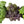 Herb Seeds,Garden seeds, Seeds For Planting,Plant Seeds