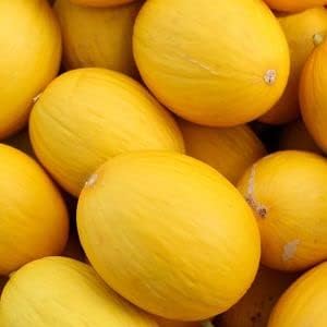 Fruit Seeds,Garden seeds, Seeds For Planting,Plant Seeds