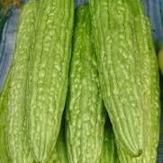 Vegetable Seeds,Garden seeds, Seeds For Planting,Plant Seeds