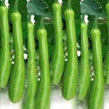 Fruit Seeds,Garden seeds, Seeds For Planting,Plant Seeds