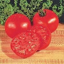 Vegetable Seeds,Garden seeds, Seeds For Planting,Plant Seeds