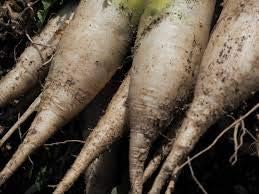 Vegetable Seeds,Garden seeds, Seeds For Planting,Plant Seeds