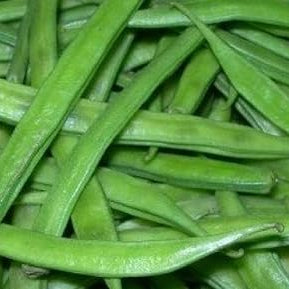 Vegetable Seeds,Garden seeds, Seeds For Planting,Plant Seeds