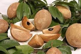 Fruit Seeds,Garden seeds, Seeds For Planting,Plant Seeds