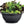 Vegetable Seeds,Garden seeds, Seeds For Planting,Plant Seeds