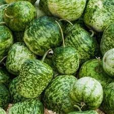 Fruit Seeds,Garden seeds, Seeds For Planting,Plant Seeds