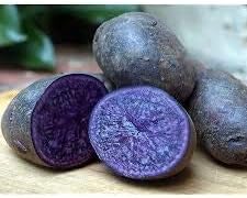 Vegetable Seeds,Garden seeds, Seeds For Planting,Plant Seeds