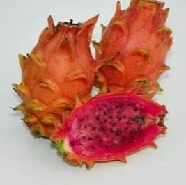 Fruit Seeds,Garden seeds, Seeds For Planting,Plant Seeds