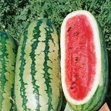 Fruit Seeds,Garden seeds, Seeds For Planting,Plant Seeds