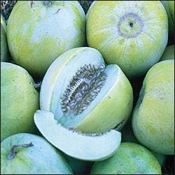 Fruit Seeds,Garden seeds, Seeds For Planting,Plant Seeds