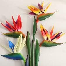 Flower Seeds, Seeds,Seeds For Planting,Plant Seeds