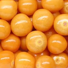 Vegetable Seeds,Garden seeds, Seeds For Planting,Plant Seeds