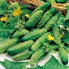 Vegetable Seeds,Garden seeds, Seeds For Planting,Plant Seeds