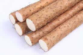 Vegetable Seeds,Garden seeds, Seeds For Planting,Plant Seeds