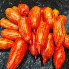 Vegetable Seeds,Garden seeds, Seeds For Planting,Plant Seeds