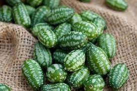 Fruit Seeds,Garden seeds, Seeds For Planting,Plant Seeds