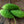 Vegetable Seeds,Garden seeds, Seeds For Planting,Plant Seeds