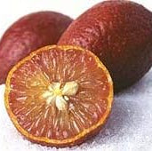 Fruit Seeds,Garden seeds, Seeds For Planting,Plant Seeds