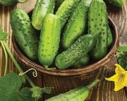 Vegetable Seeds,Garden seeds, Seeds For Planting,Plant Seeds