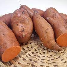 Vegetable Seeds,Garden seeds, Seeds For Planting,Plant Seeds