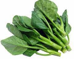 Vegetable Seeds,Garden seeds, Seeds For Planting,Plant Seeds