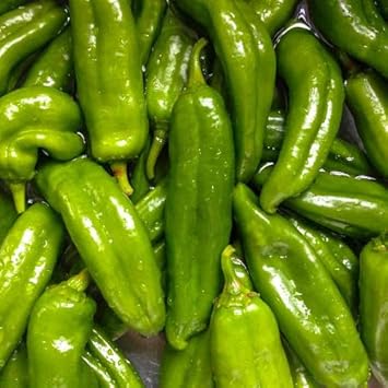 Vegetable Seeds,Garden seeds, Seeds For Planting,Plant Seeds