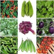 Vegetable Seeds,Garden seeds, Seeds For Planting,Plant Seeds