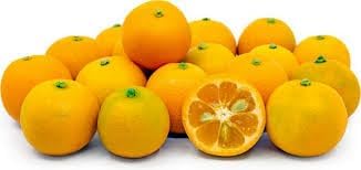 Vegetable Seeds,Garden seeds, Seeds For Planting,Plant Seeds