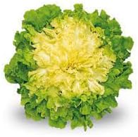 Vegetable Seeds,Garden seeds, Seeds For Planting,Plant Seeds