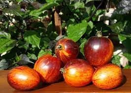 Vegetable Seeds,Garden seeds, Seeds For Planting,Plant Seeds