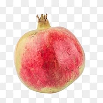 Fruit Seeds,Garden seeds, Seeds For Planting,Plant Seeds