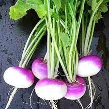 Vegetable Seeds,Garden seeds, Seeds For Planting,Plant Seeds