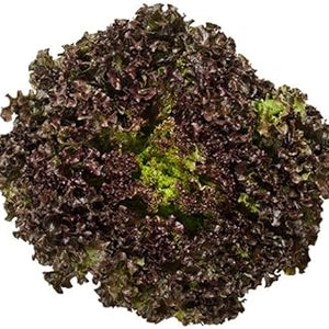 Vegetable Seeds,Garden seeds, Seeds For Planting,Plant Seeds