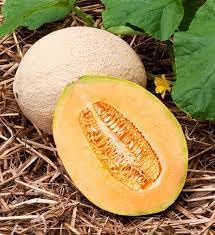 Fruit Seeds,Garden seeds, Seeds For Planting,Plant Seeds