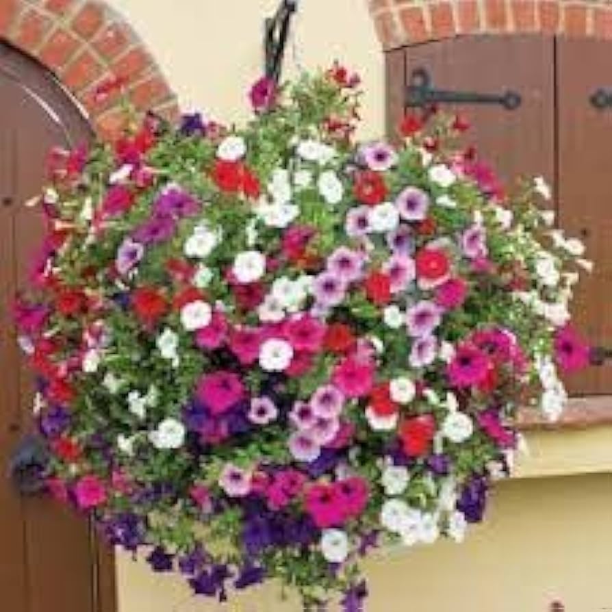 Flower Seeds, Seeds,Seeds For Planting,Plant Seeds