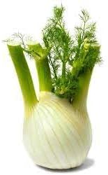 Vegetable Seeds,Garden seeds, Seeds For Planting,Plant Seeds